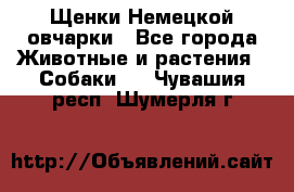 Щенки Немецкой овчарки - Все города Животные и растения » Собаки   . Чувашия респ.,Шумерля г.